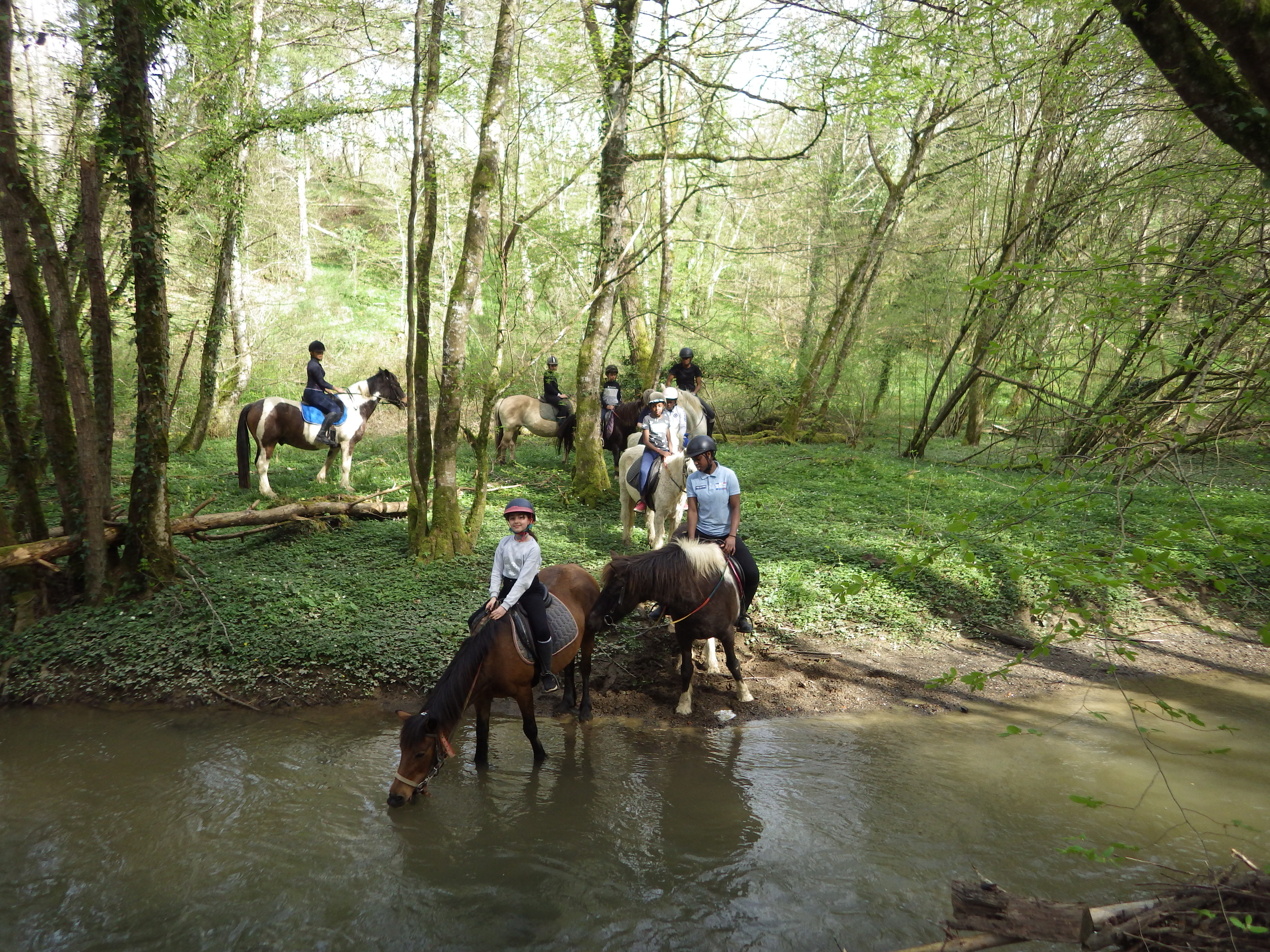 Centre équestre - Poney-club