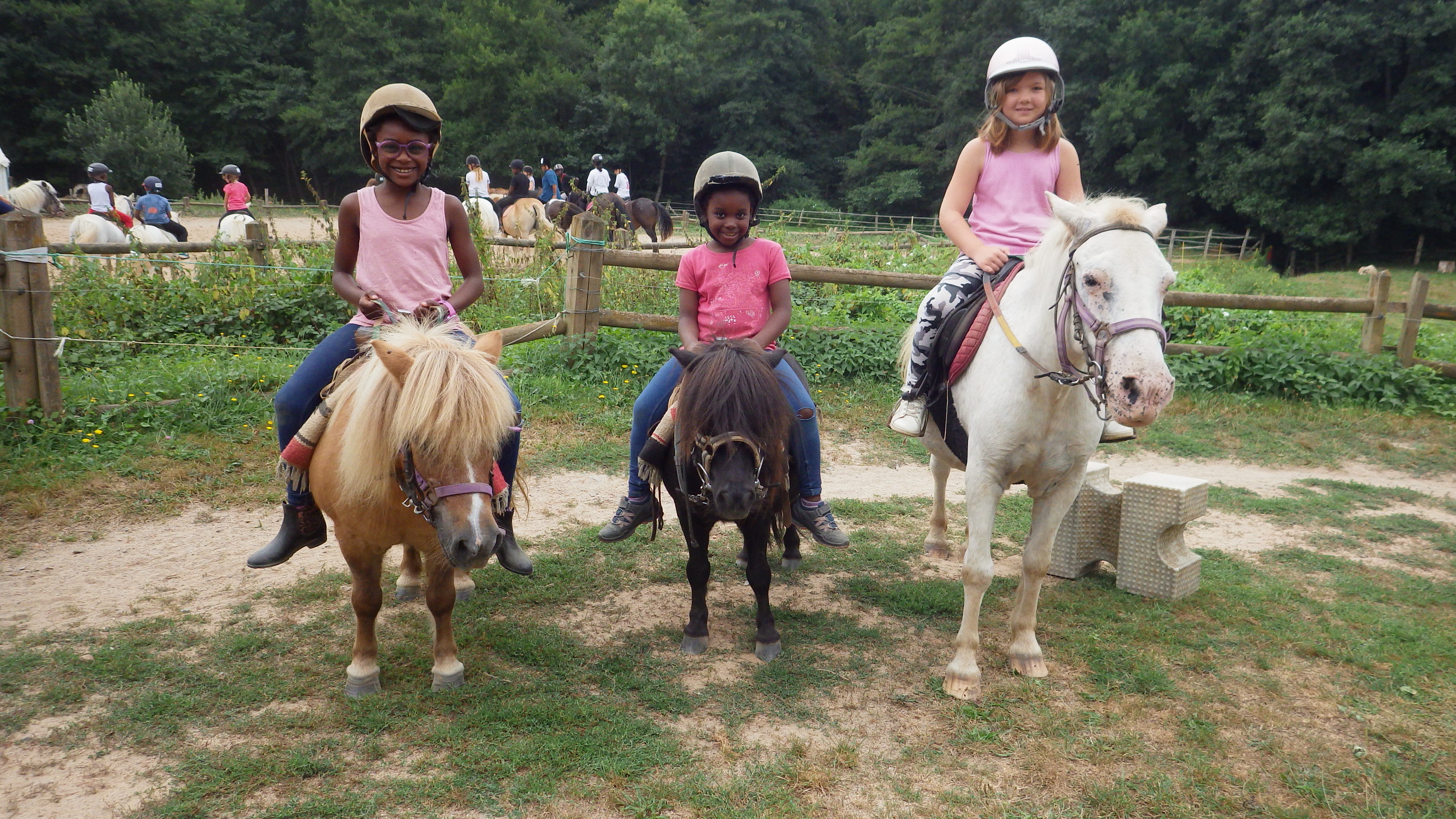 Classes de découvertes